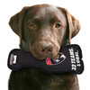 Florida Panthers Stanley Cup Dog Toy Plush w/ Logo On Back & Squeaker
