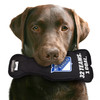 New York Rangers Stanley Cup Dog Toy Plush w/ Logo On Back & Squeaker