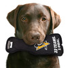 Pittsburgh Penguins Stanley Cup Dog Toy Plush w/ Logo On Back & Squeaker
