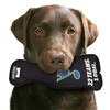 St. Louis Blues Stanley Cup Dog Toy Plush w/ Logo On Back & Squeaker