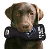 Utah Mammoth Stanley Cup Dog Toy Plush w/ Logo On Back & Squeaker