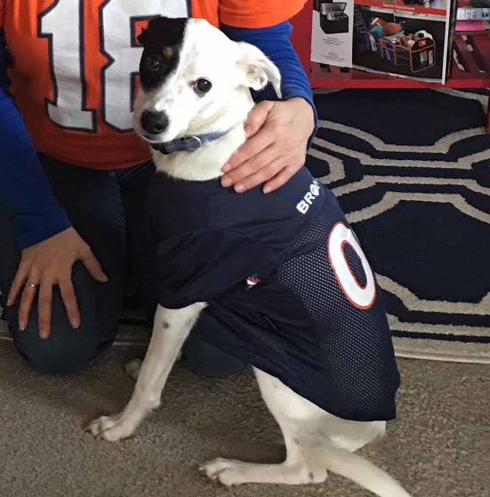 Denver Broncos Dog Pet Mesh Football Jersey