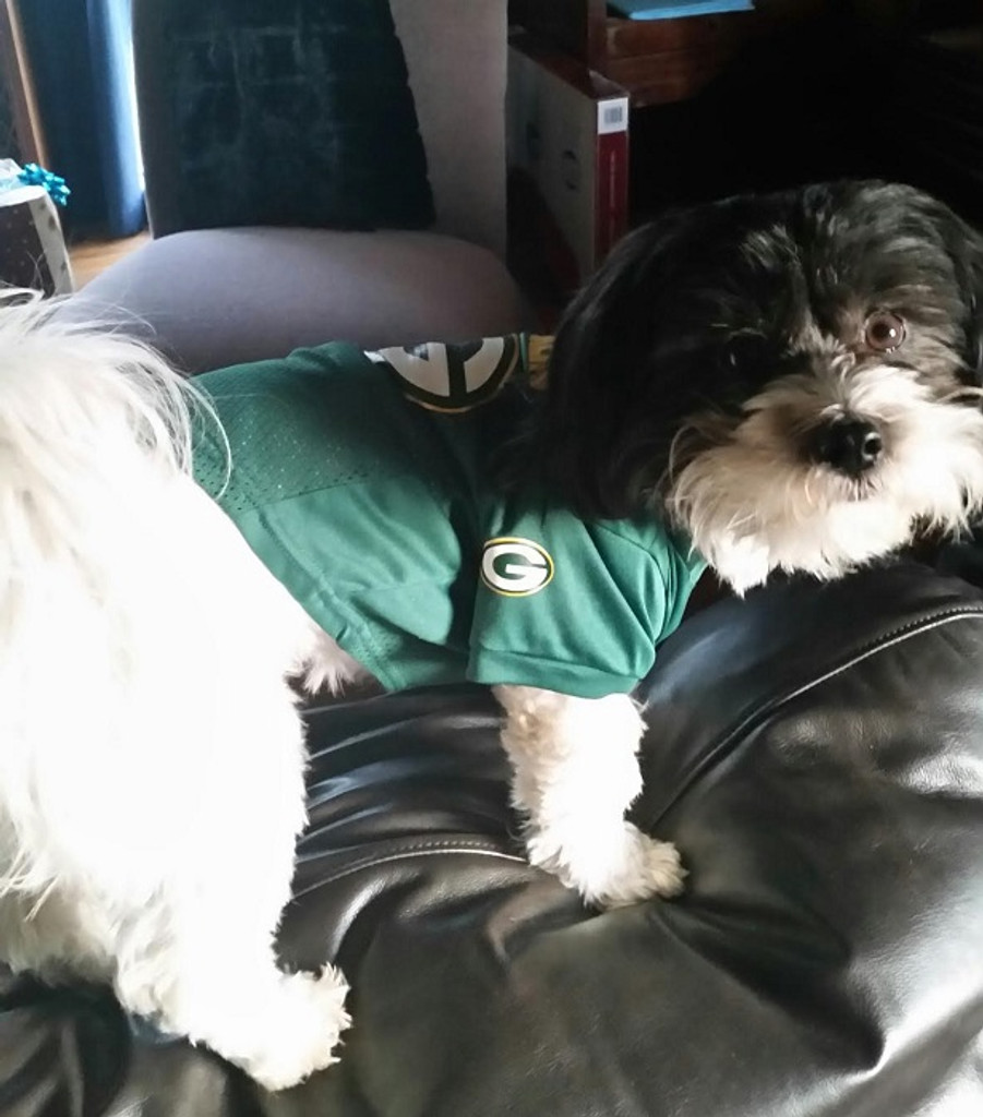 Green Bay Packers Dog Pet Mesh Alternate Football Jersey 