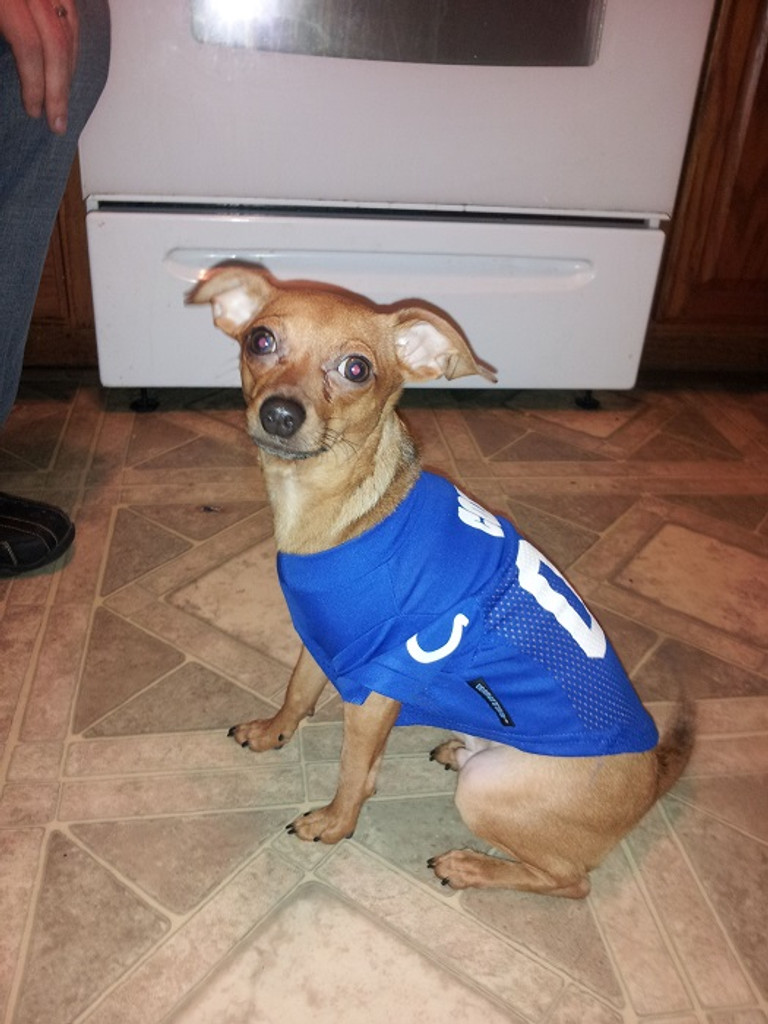 Indianapolis Colts Dog Pet Mesh Football Jersey
