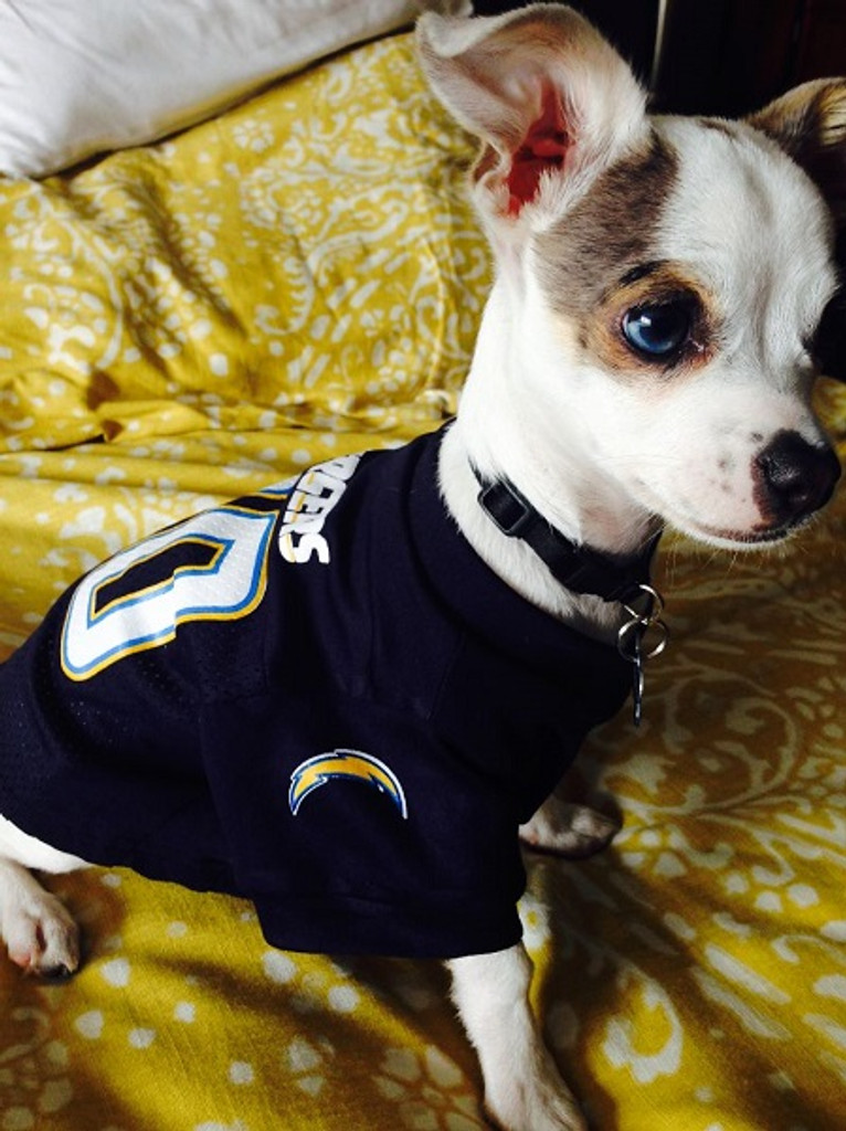 Los Angeles Chargers Pink Mesh Dog Jersey