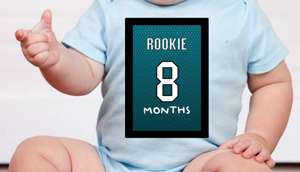 San Jose Hockey Baby Milestone Tummy Sticker Monthly Set