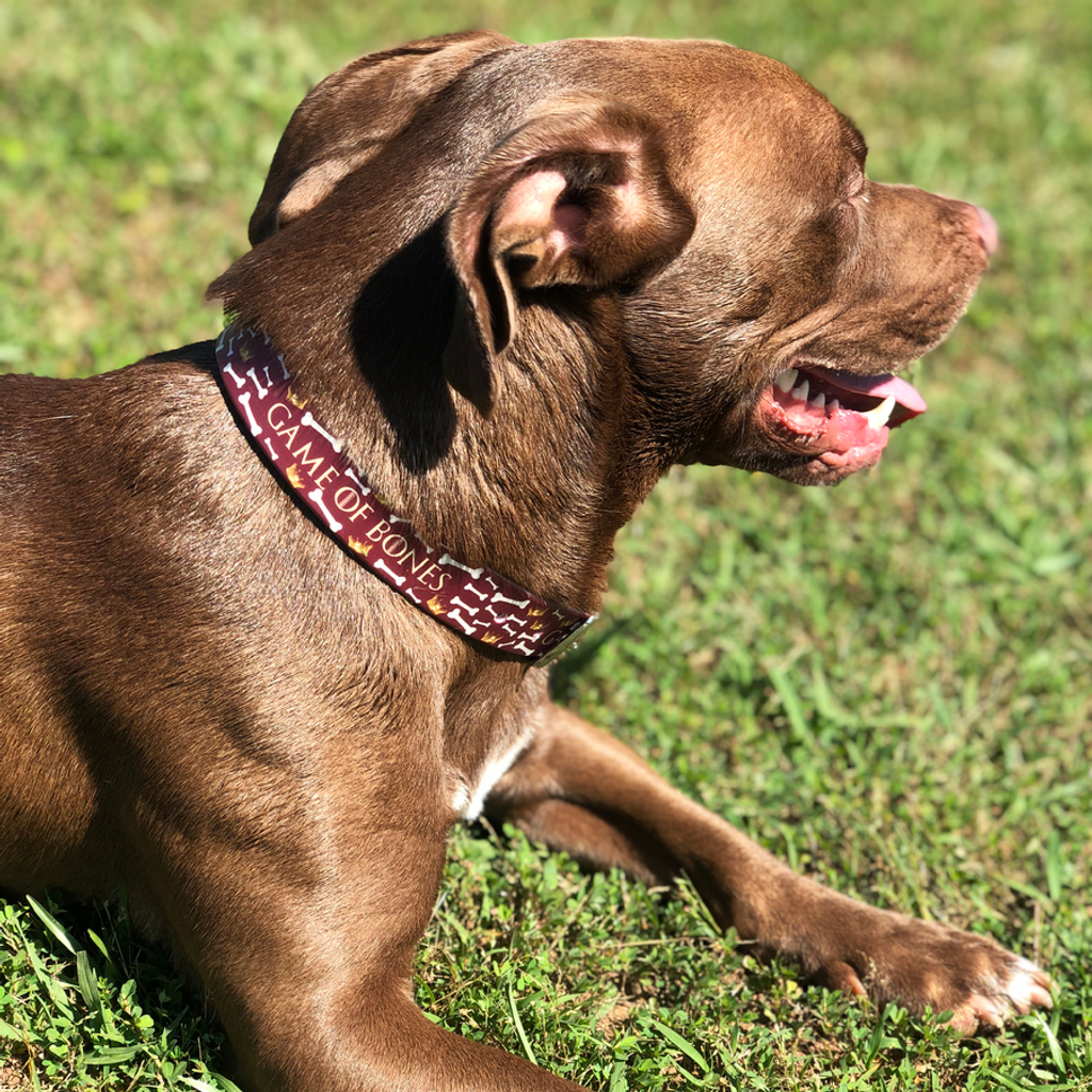 Game Of Bones Premium Dog Collar Odor Proof Waterproof Antimicrobial