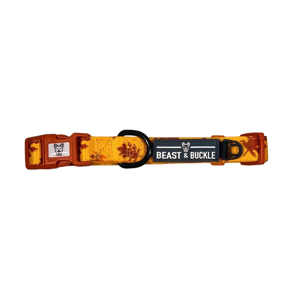 Fall Leaves Premium Dog Collar Adjustable Poly/Neoprene Pumpkin Spice