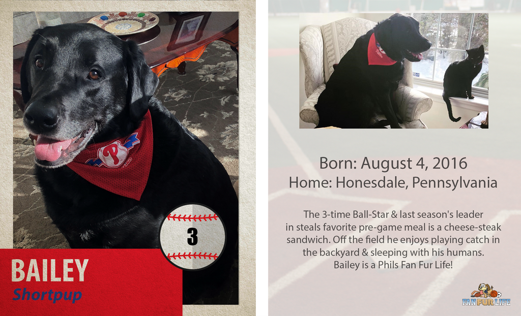 Personalized Pet Baseball Card Vintage Style On 5x7 Acrylic Plaque