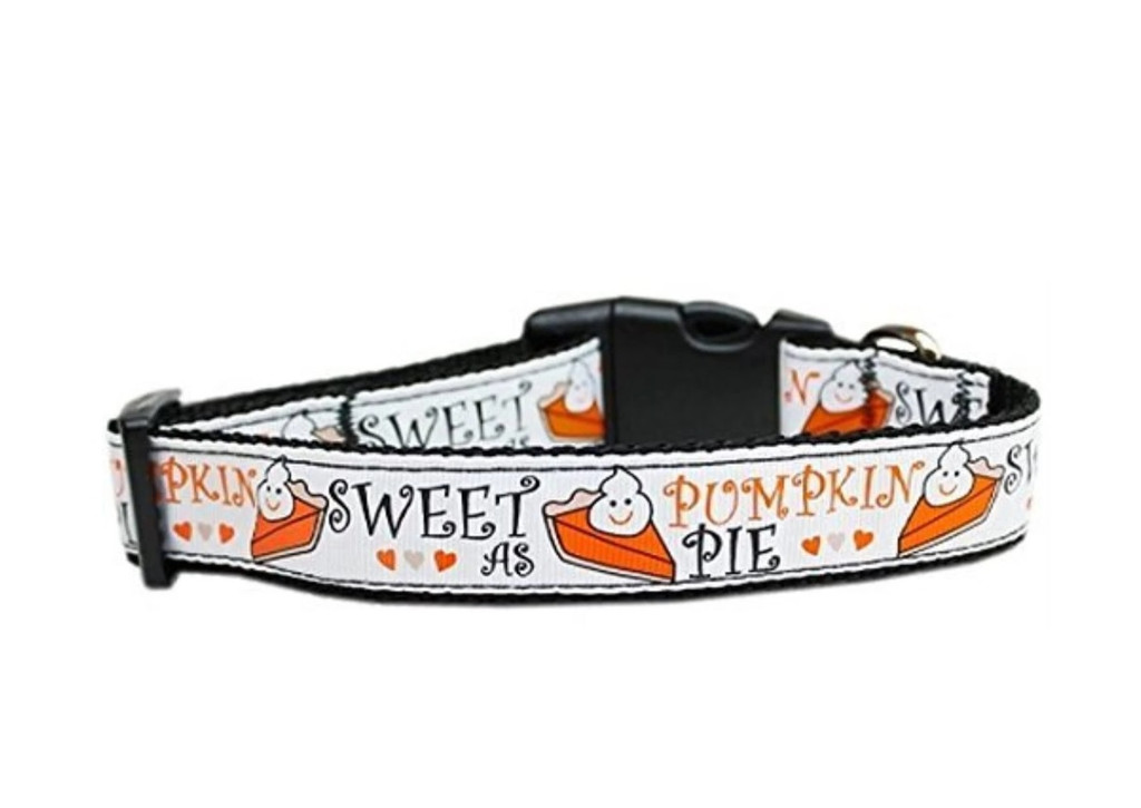 Sweet As Pumpkin Pie Dog Collar Premium Fall Adjustable USA Made