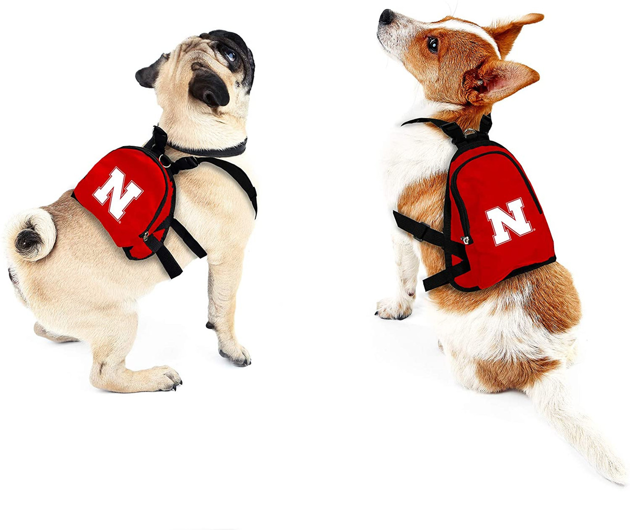 Nebraska Huskers Dog Cat Mini Backpack Harness w/ Leash  