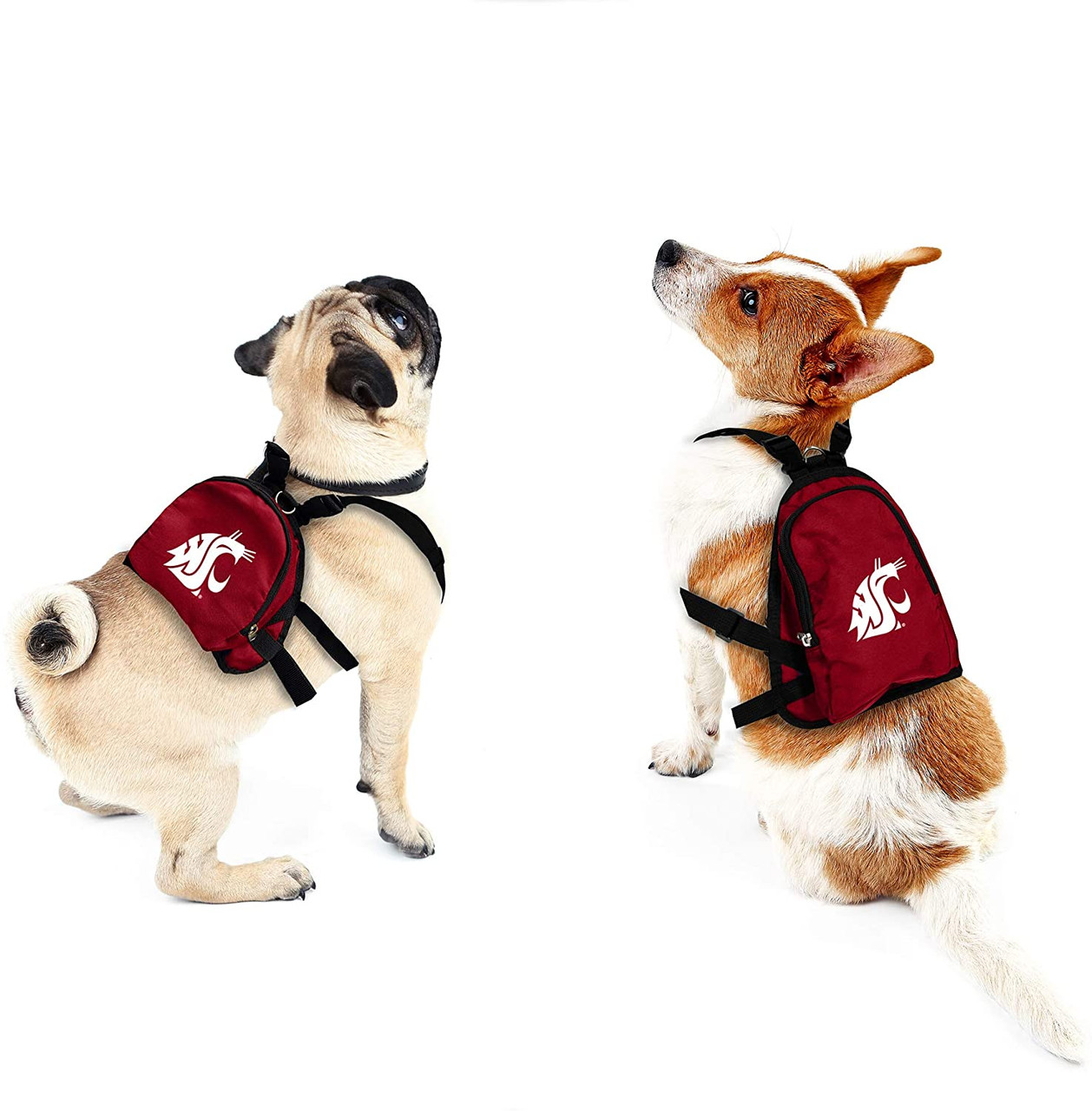 Washington State Cougars Dog Cat Mini Backpack Harness w/ Leash  