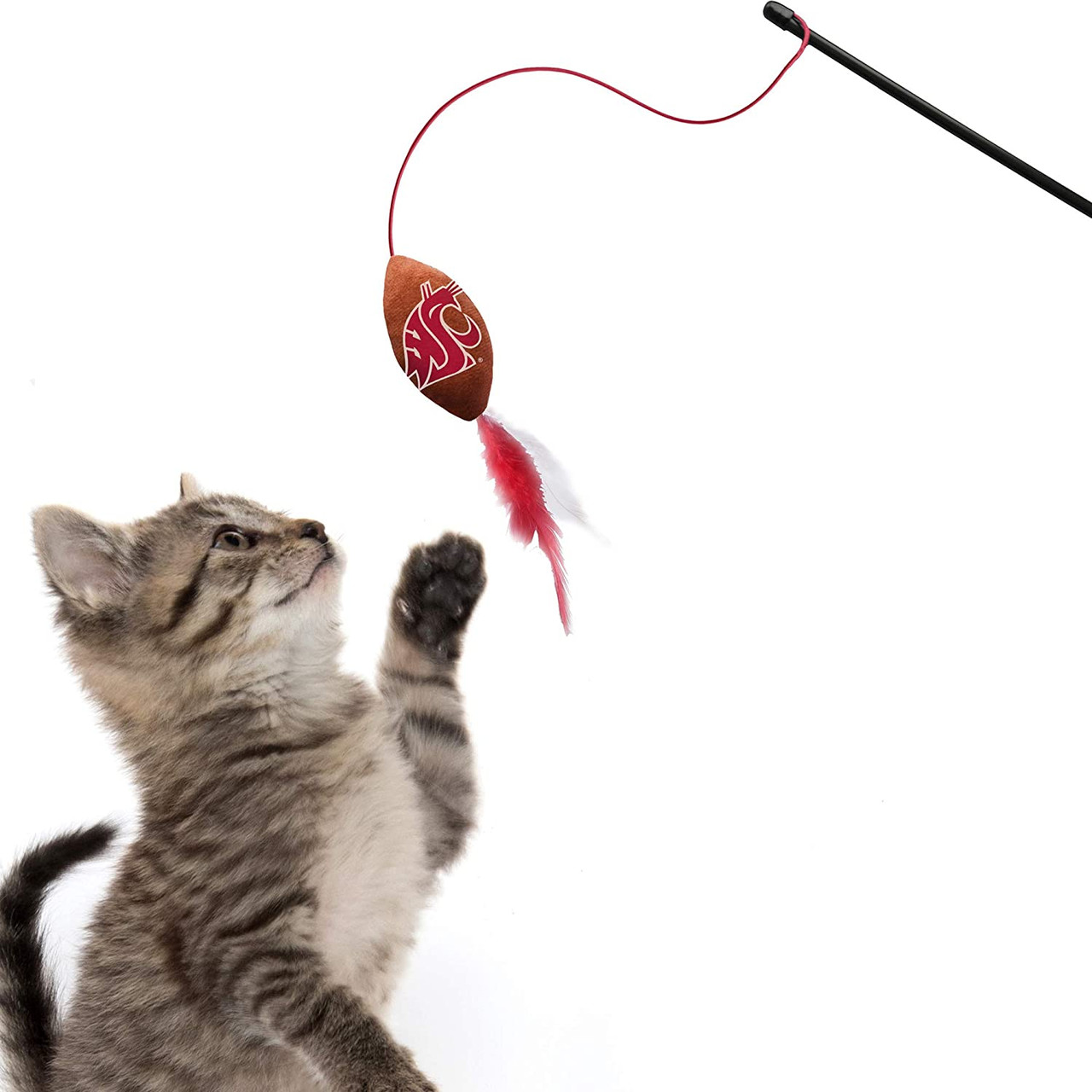 Washington State Cougars Cat Football Toy Wand Interactive Teaser