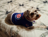 Chicago Cubs Dog Pet Baseball Jersey Alternate