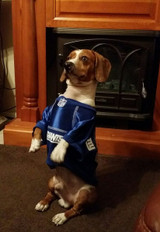 New York Giants Dog Pet Premium Mesh Football Jersey