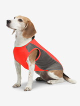 Cooling Insect Shield Dog Pet Shirt Tank Bug Protection Red