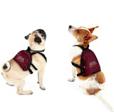 Montana Grizzlies Dog Cat Mini Backpack Harness w/ Leash  