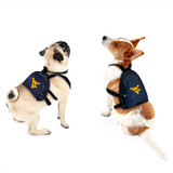 West Virginia Mountaineers Dog Cat Mini Backpack Harness w/ Leash  