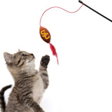 USC Trojans Cat Football Toy Wand Interactive Teaser