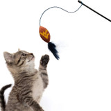 West Virginia Mountaineers Cat Football Toy Wand Interactive Teaser