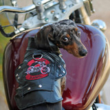 Biker Dawg Motorcycle Dog Jacket Premium Faux Leather