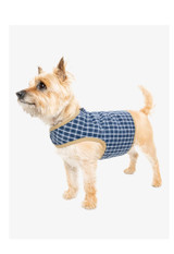 Insect Shield Dog Trail Vest Bug Protection Navy Plaid