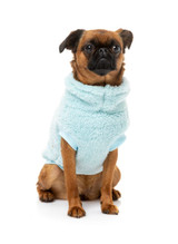 Turtle Teddy Dog Sweater Premium Soft Plush Arctic Ice