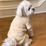 Plush Dog Cat Fashion Pullover Premium Soft Furry Sweatshirt Cream
