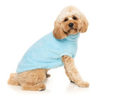 Turtle Teddy Dog Sweater Premium Soft Plush Light Blue