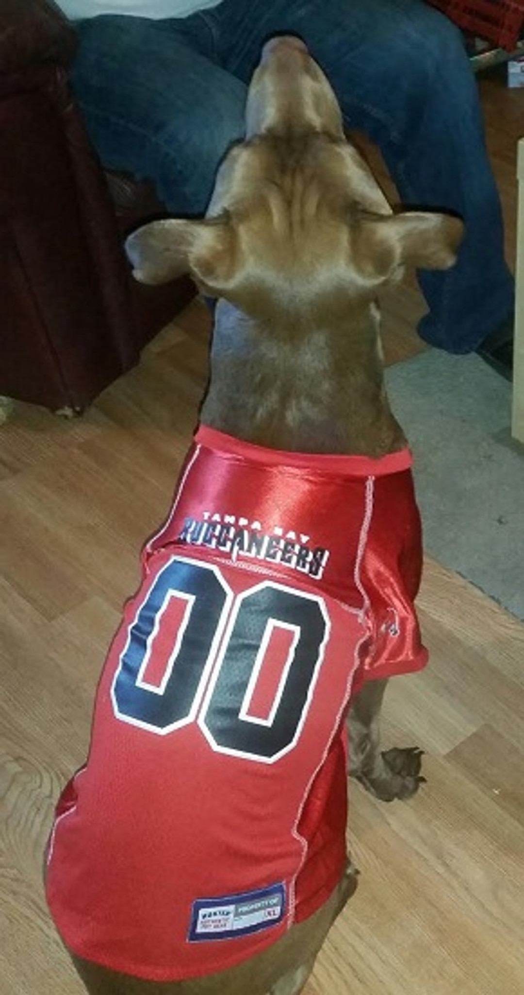 New York Islanders Dog Pet Premium Mesh Hockey Jersey - Spawty