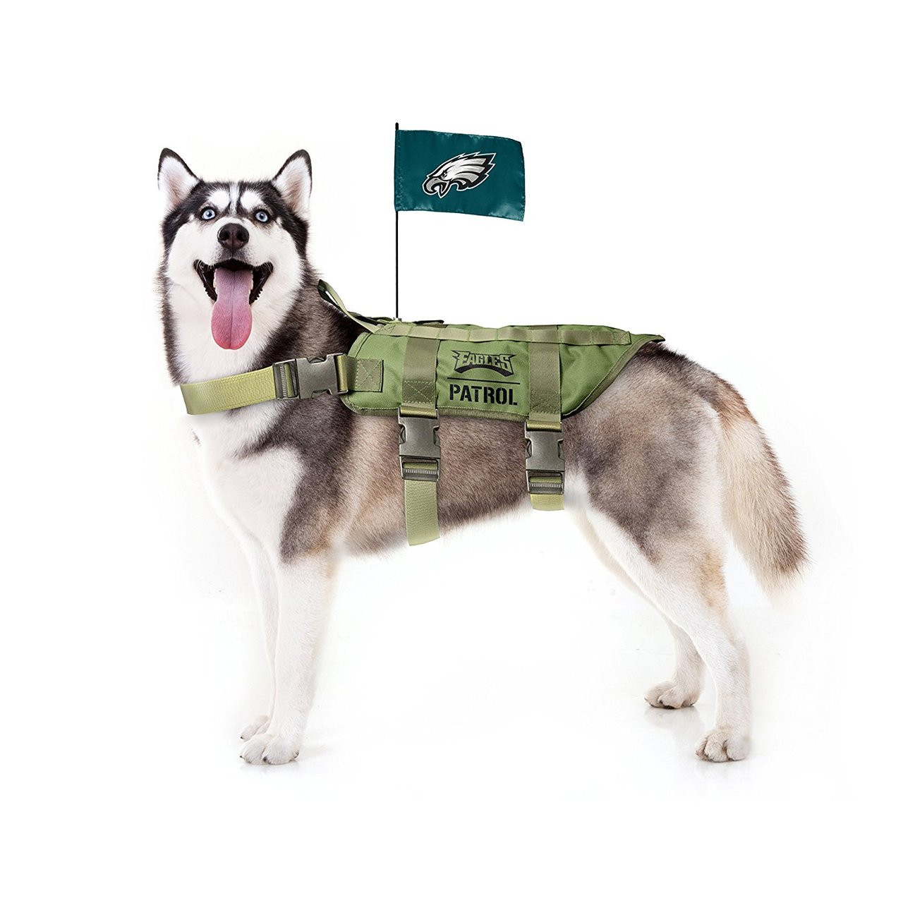 eagles dog harness