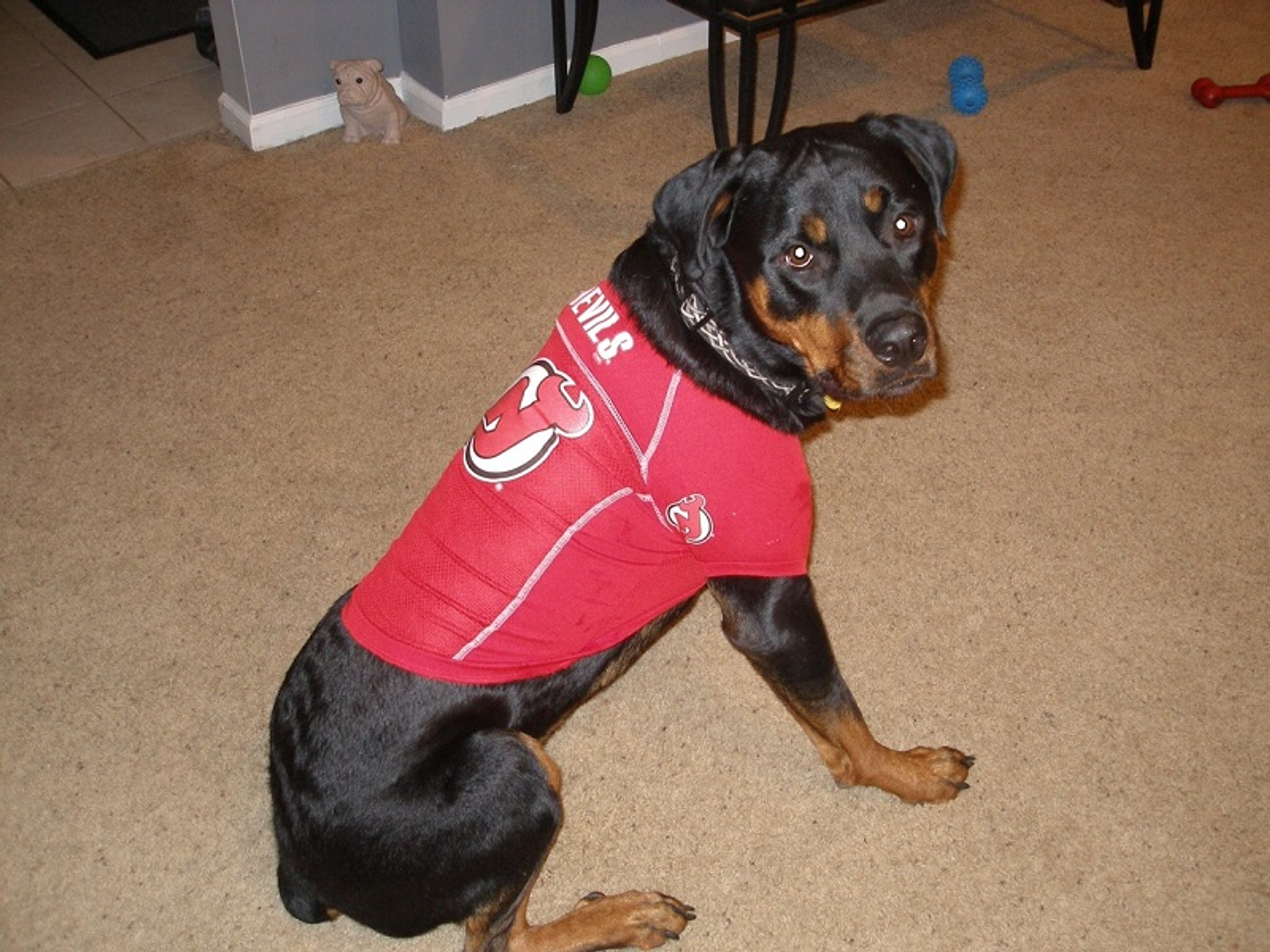 New Jersey Devils NHL Dog Sweater