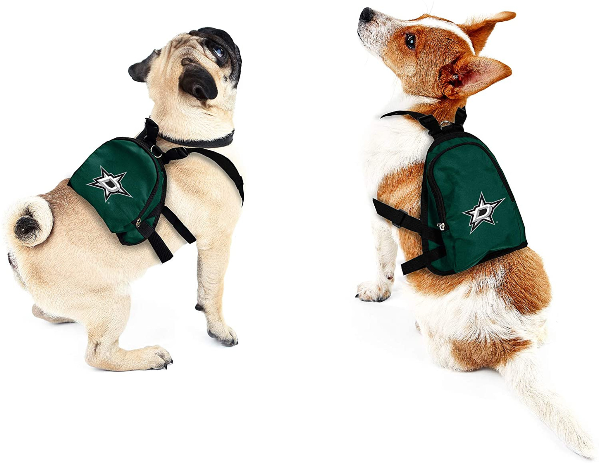 : NHL Dallas Stars Dog Cheerleader Dress, X-Small, Green :  Sports & Outdoors