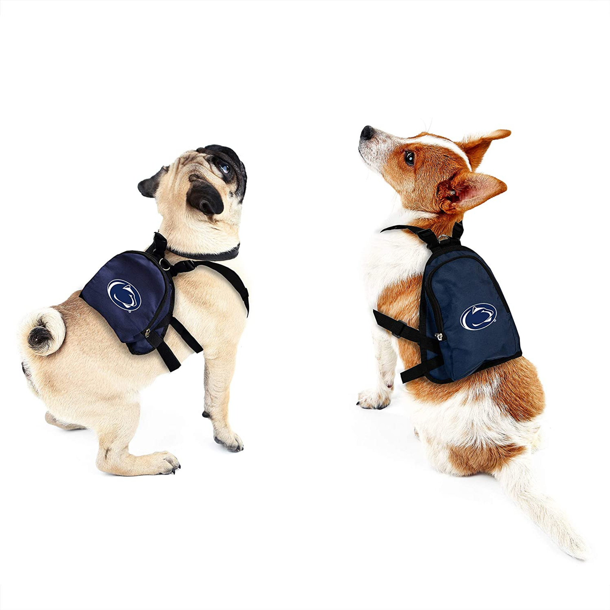 penn state dog leash