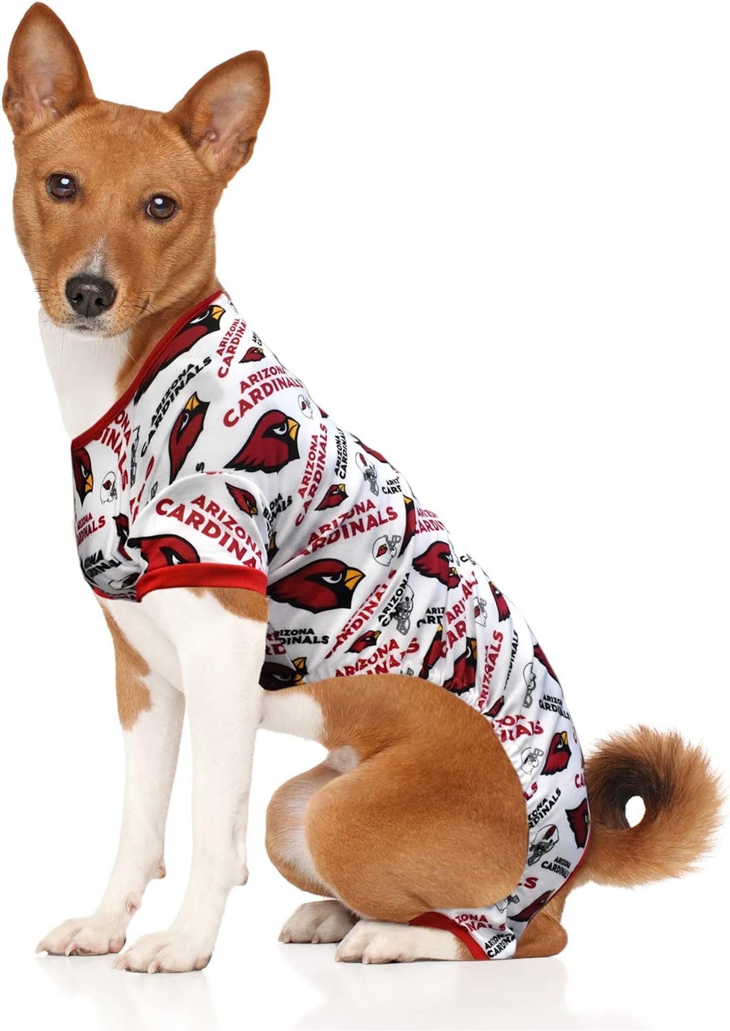 Arizona Cardinals Dog Jersey - Large