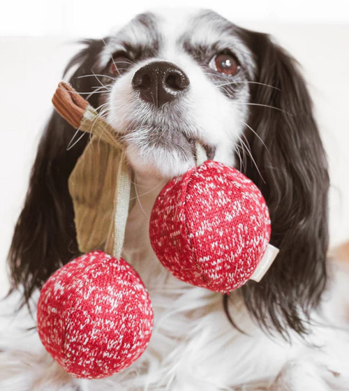 Cherry POP Dog Toy Premium Spikey Squeaker Ball Crinkle & Hide Treat