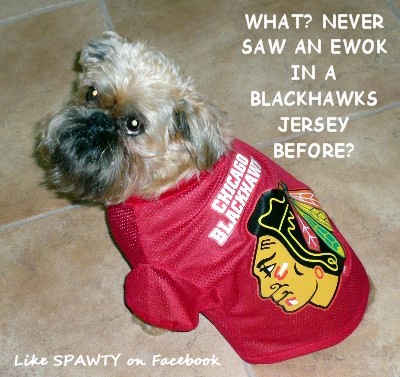 blackhawksewok.png