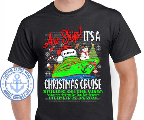 122224VISAWSHIP DECEMBER 22 2024 -SHIRT