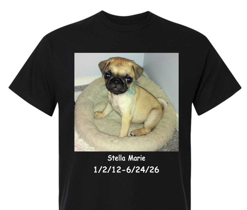 Mary Hinkle In Loving Memory Stella Marie Pug Photo
