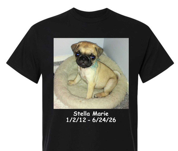 Mary Hinkle In Loving Memory Stella Marie Pug Photo