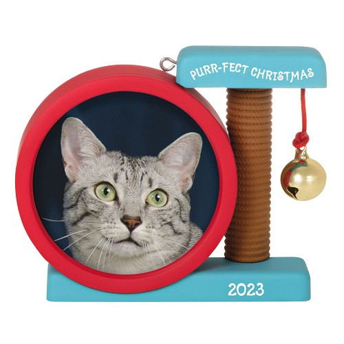 2023 Purr-fect Christmas Hallmark ornament (QGO2597)