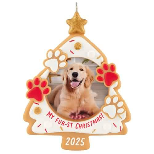 2025 My Fur-st Christmas Hallmark ornament (QGO1902)