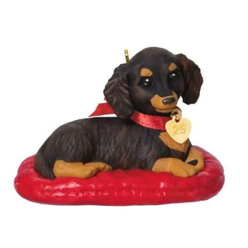 2025 Puppy Love #35 - Long-Haired Dachshund Hallmark ornament (QXR8755)