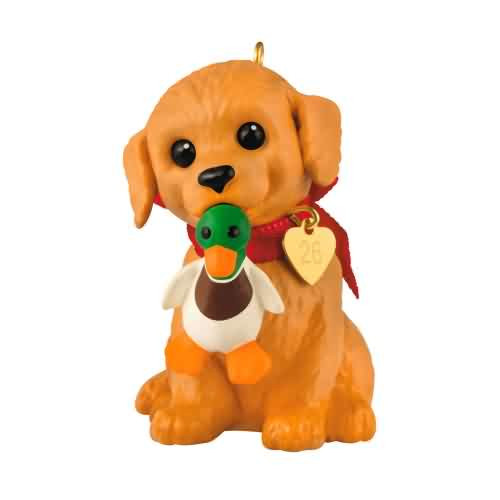 2026 Puppy Love #36 - Golden Retriever with Duck Hallmark ornament (QXR8313)