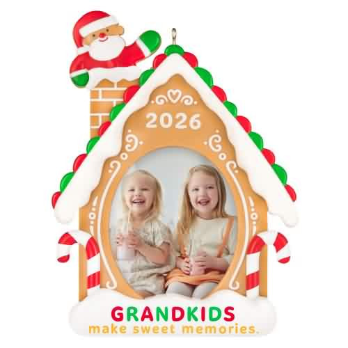 2026 Sweet Grandkids Hallmark ornament (QGO2666)
