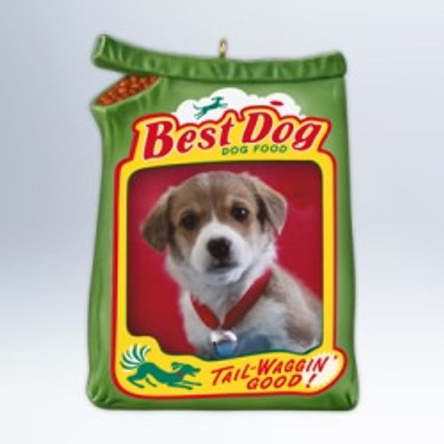 2012 Best Dog