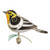 2025 Beauty of Birds #21 - Blackburnian Warbler Hallmark ornament (QXR8372)