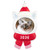 2026 Snow Cat Hallmark ornament (QGO2676)