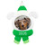 2026 Snow Dog Hallmark ornament (QGO2683)