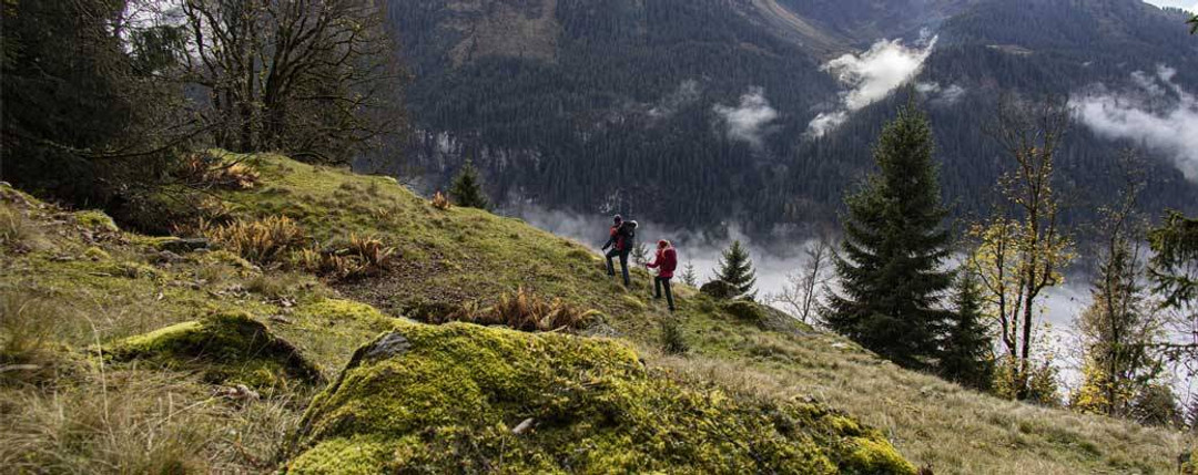 Wanderfreund Makalu Hiking Pole